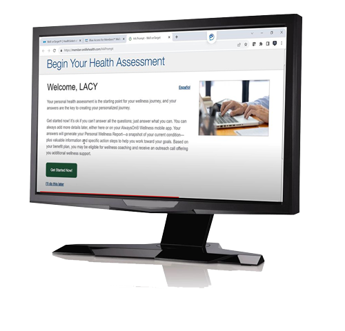 monitor displaying Health Assessment landing page